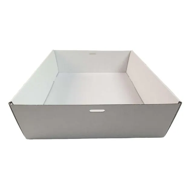 10 x White Disposable Catering Grazing Boxes Trays With Clear PET Lids