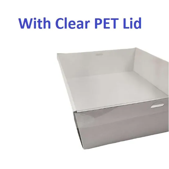 10 x White Disposable Catering Grazing Boxes Trays With Clear PET Lids