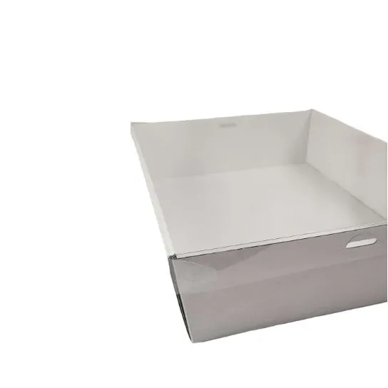 10 x White Disposable Catering Grazing Boxes Trays With Clear PET Lids