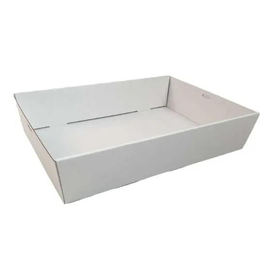 10 x White Disposable Catering Grazing Boxes Trays With Clear PET Lids