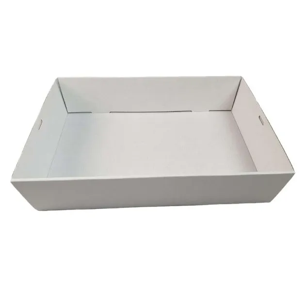 10 x White Disposable Catering Grazing Boxes Trays With Clear PET Lids