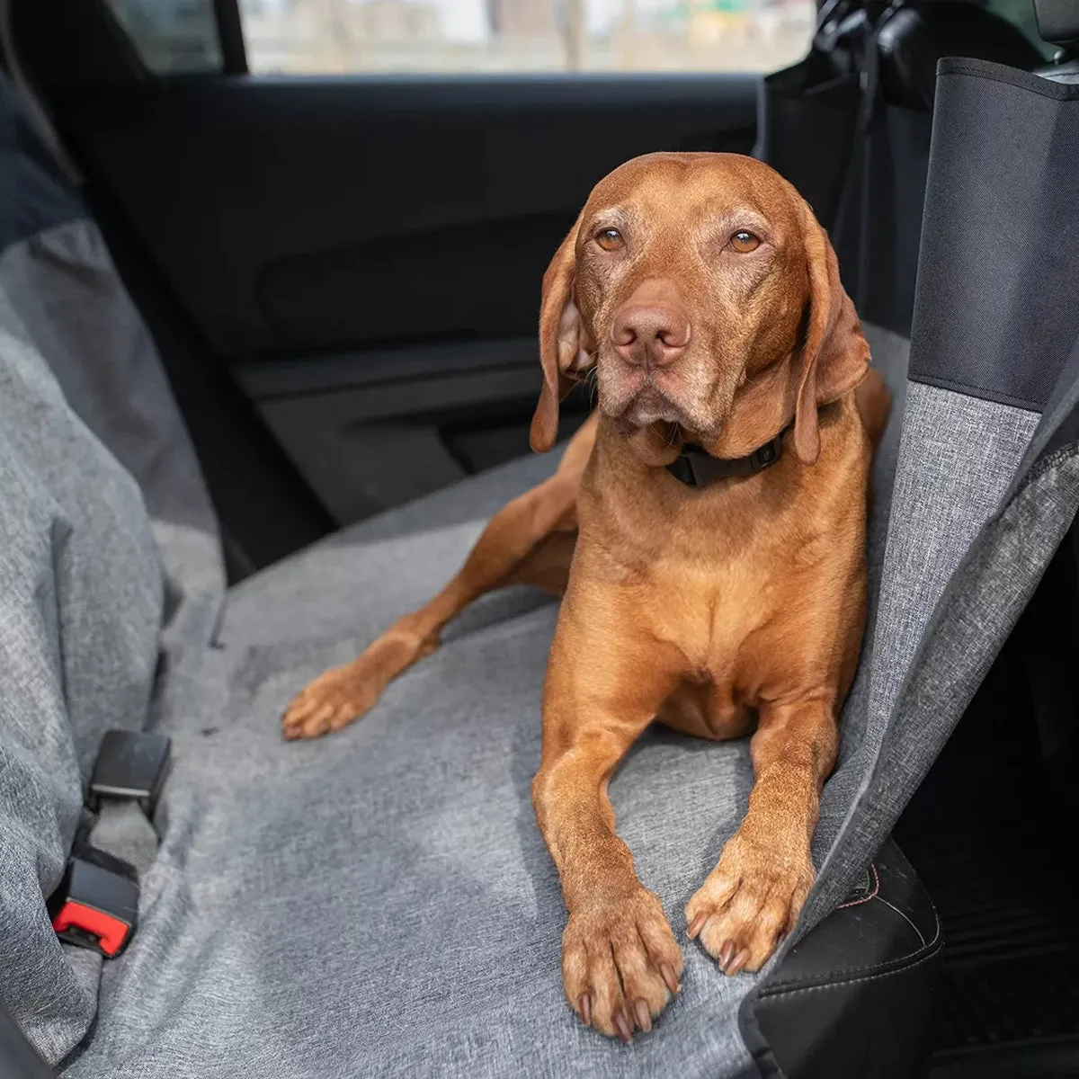 Bergan Auto Wide Hammock Seat Protector