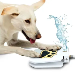 Dog Step On Water Fountain -