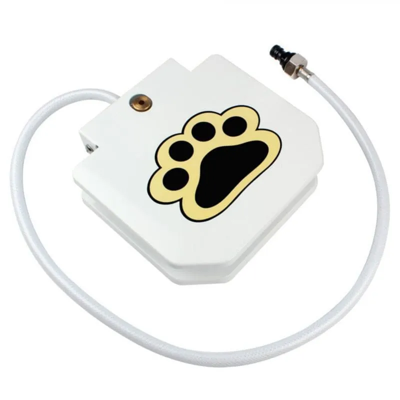 Dog Step On Water Fountain -