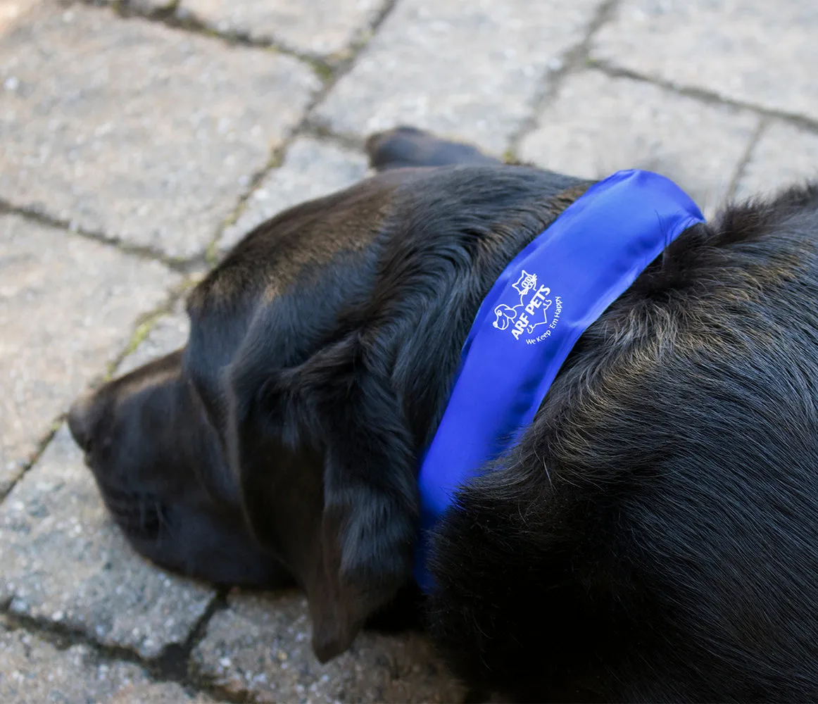 Large/Extra Large Cooling Dog Collar