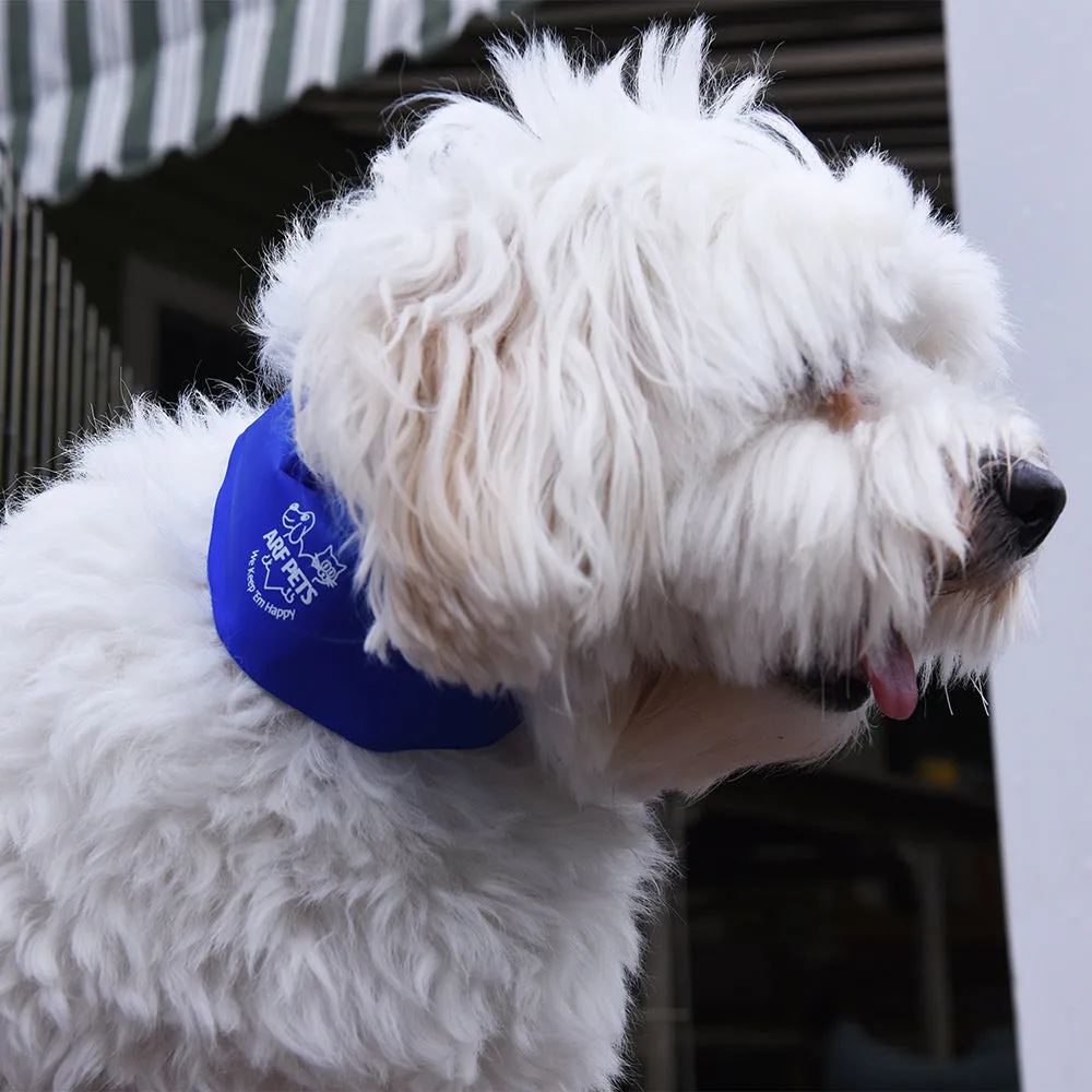 Large/Extra Large Cooling Dog Collar
