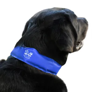 Large/Extra Large Cooling Dog Collar
