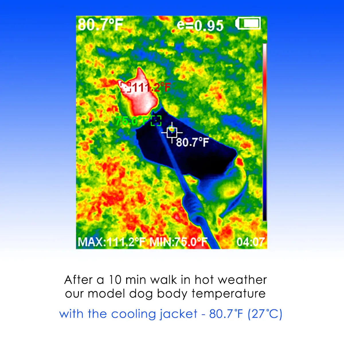 LCB Flamingo Cooling Jacket
