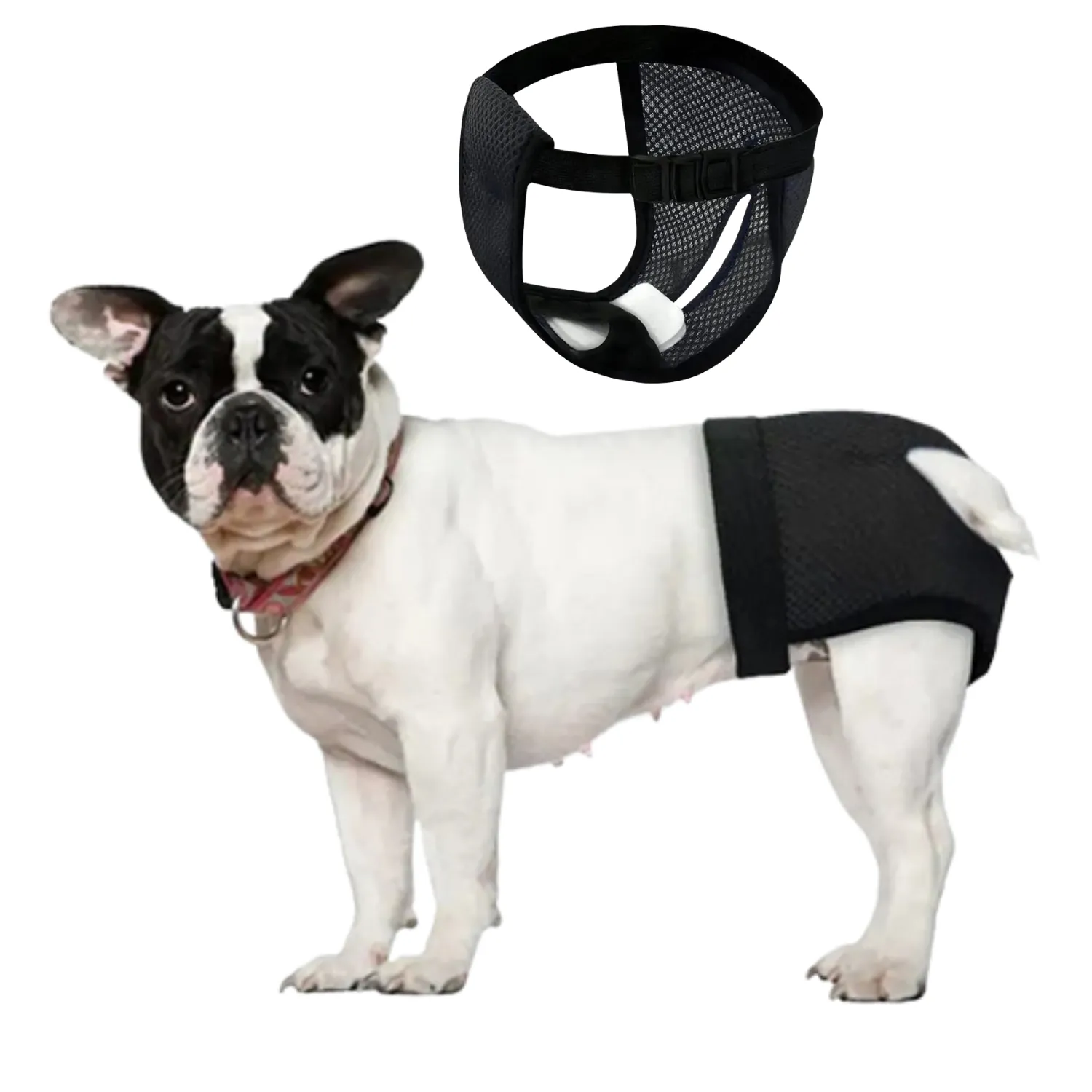 Leak-Proof Frenchie Diaper Hygienic Panties for Ultimate Comfort