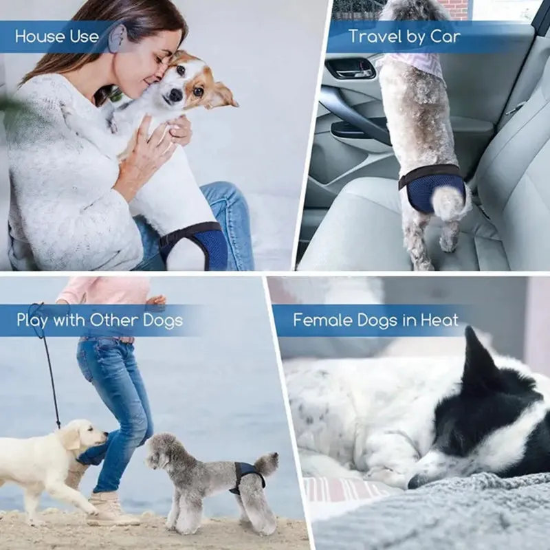Leak-Proof Frenchie Diaper Hygienic Panties for Ultimate Comfort
