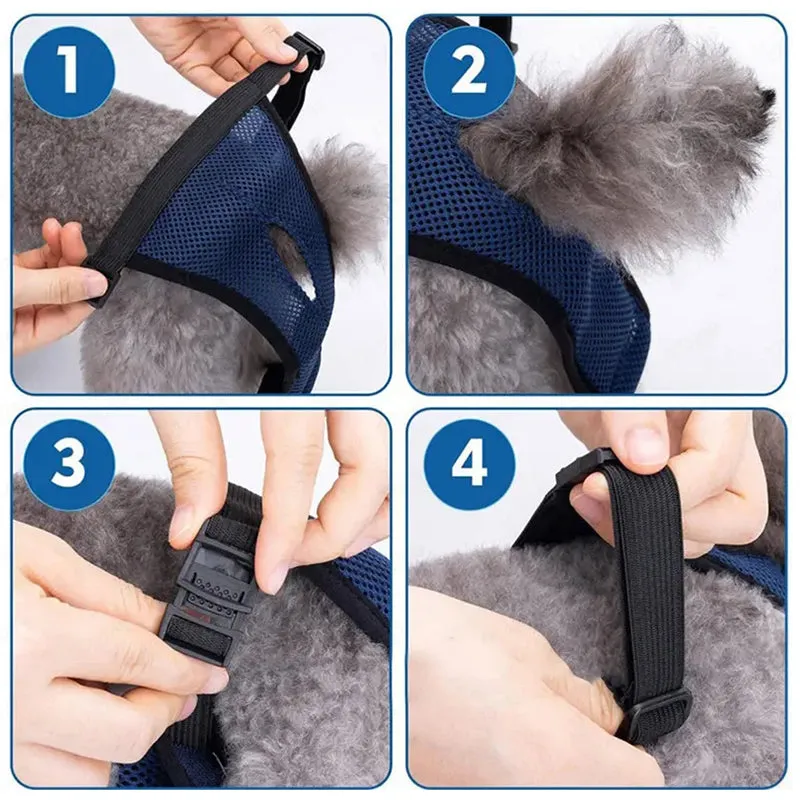 Leak-Proof Frenchie Diaper Hygienic Panties for Ultimate Comfort