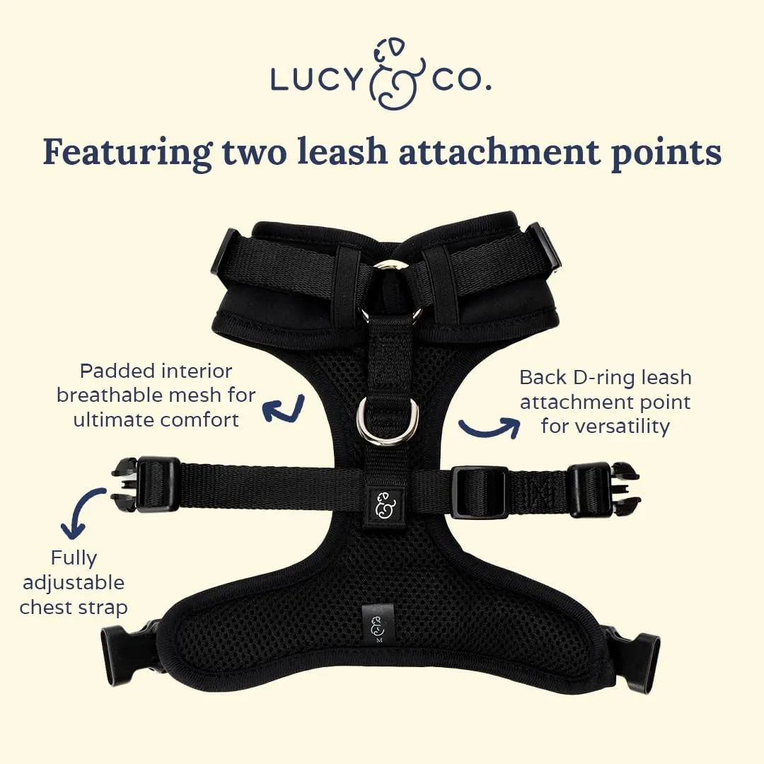Midnight No-Pull Harness