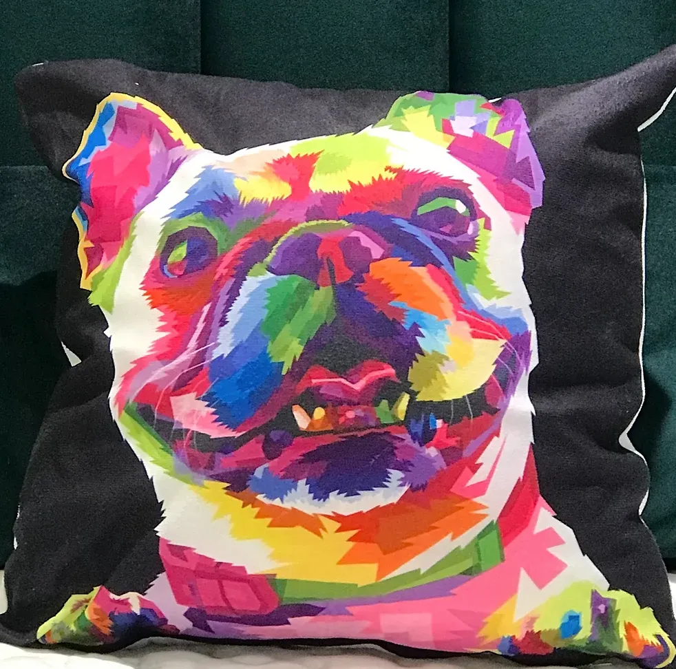 Multicoloured Animal Cushions (24 Breeds )