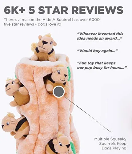 Outward Hound Hide-A-Squirrel Interactive Squeaky Plush Dog Toy