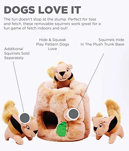 Outward Hound Hide-A-Squirrel Interactive Squeaky Plush Dog Toy