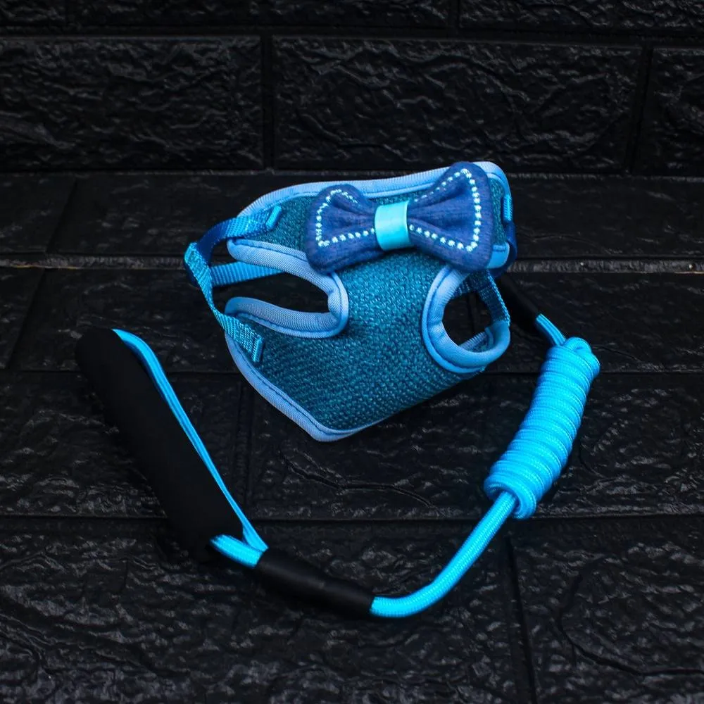 Padded Pet Harness and Leash Set