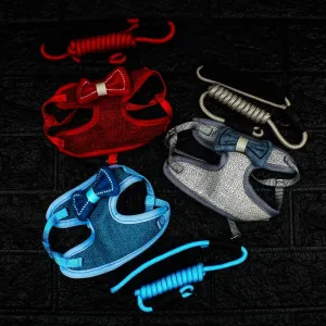 Padded Pet Harness and Leash Set
