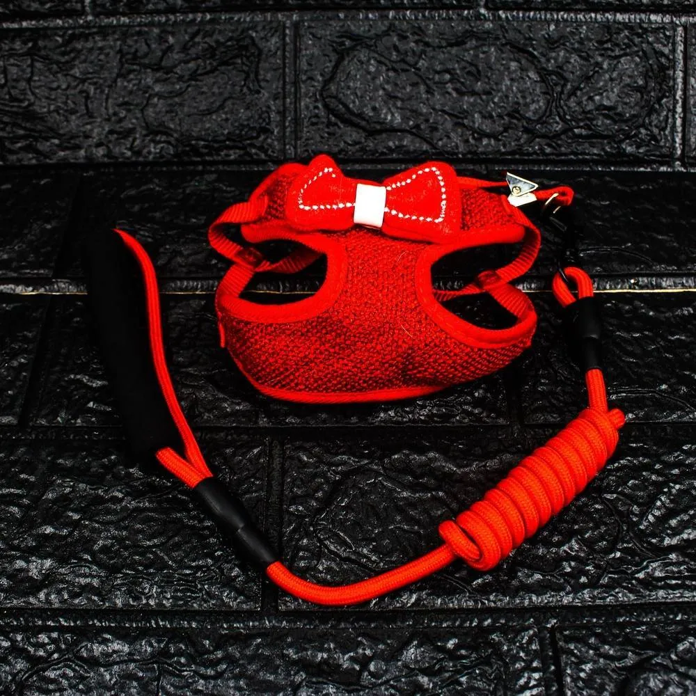 Padded Pet Harness and Leash Set