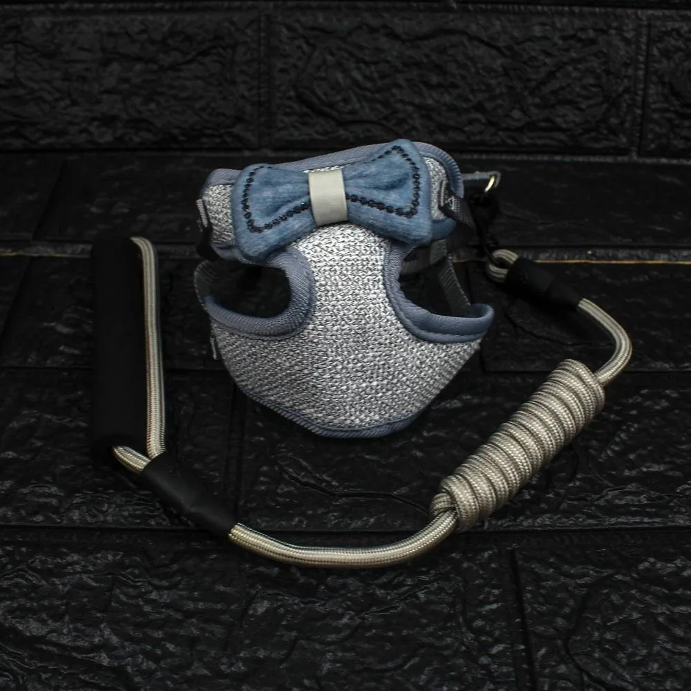Padded Pet Harness and Leash Set