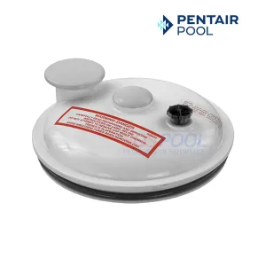 Pentair Lid Assembly For HC Series Automatic Feeders | R172385D