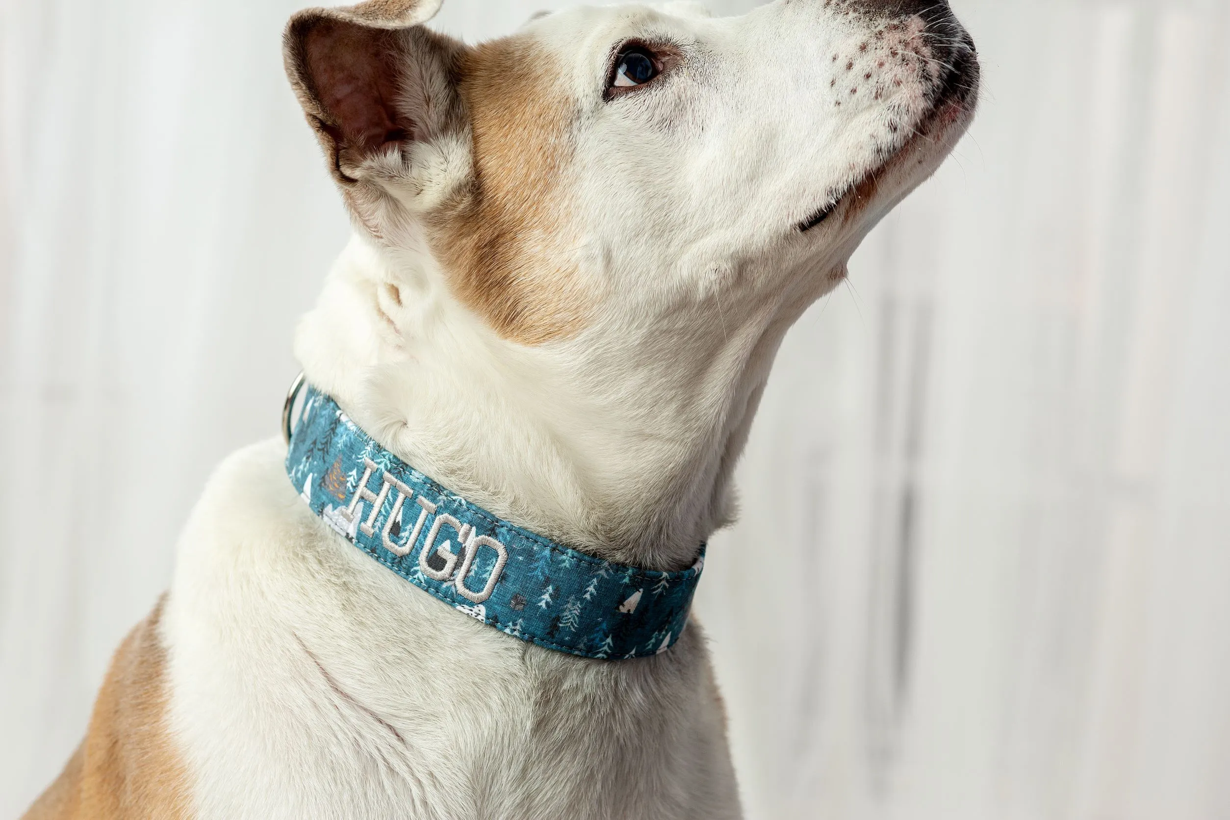 Personalized Dog Collar | Dark Turqoise Mountain Dog Collar | Duke & Fox®