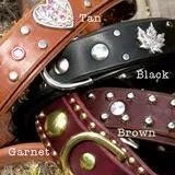 Personalized Leather Dog Collar with Nameplate 1.5" WIDE