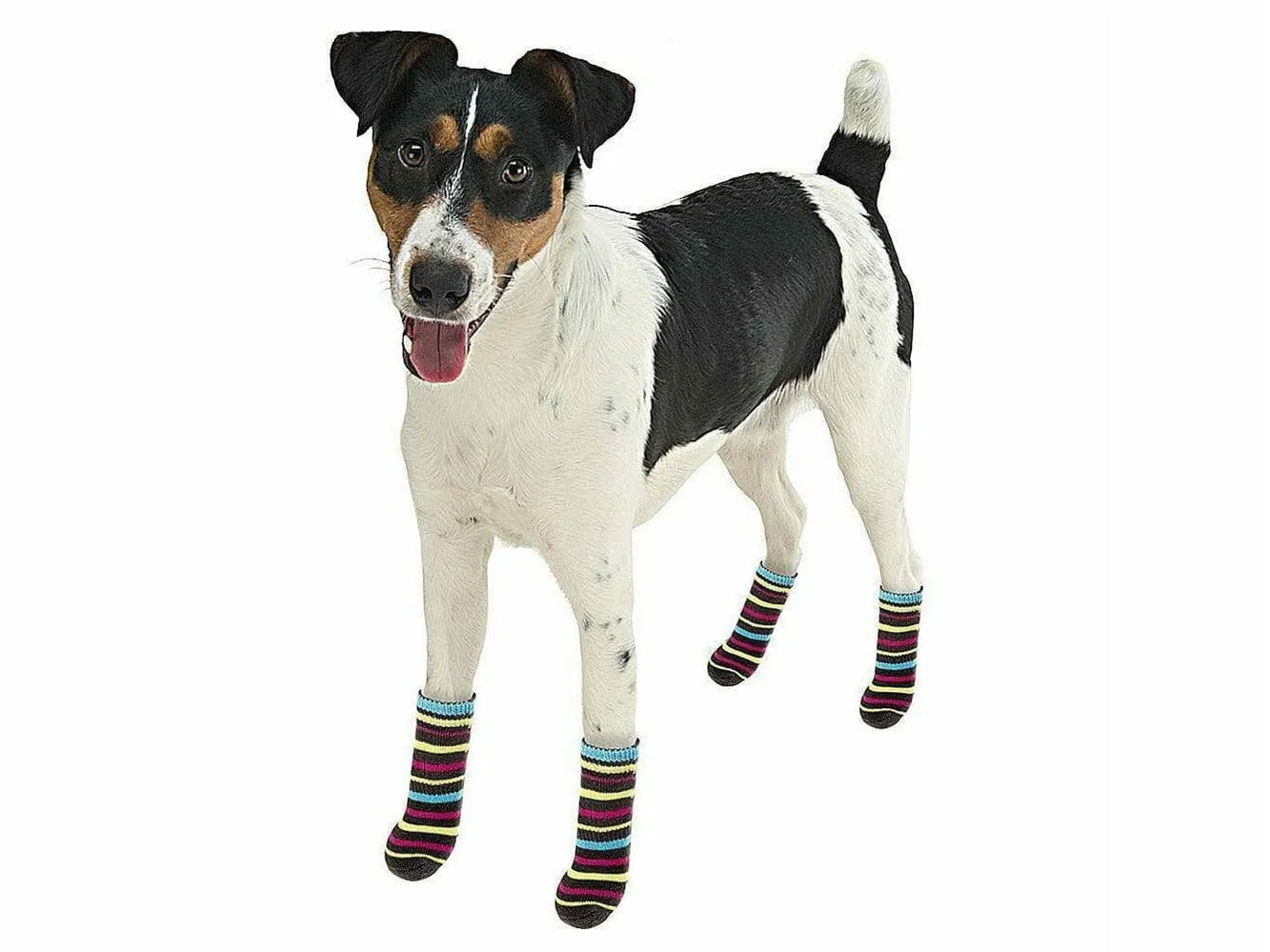 PET SOCKS ANTISLIP LARGE (x4)