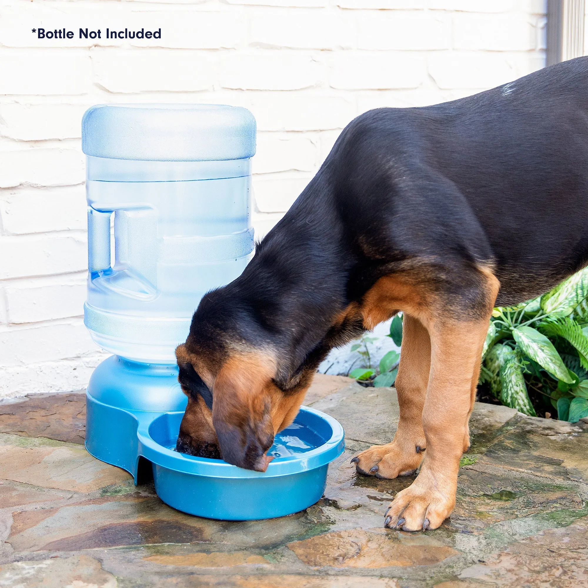 Petmate Big Blue Bowl