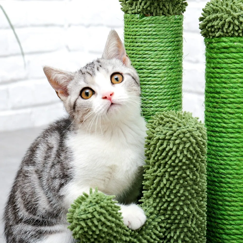 Scratching Post for Cats that Looks Like a Cactus