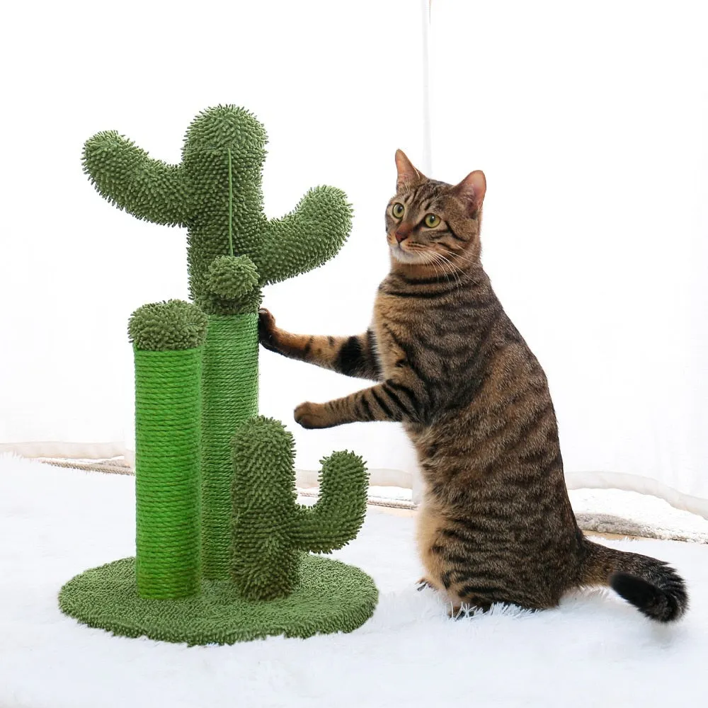 Scratching Post for Cats that Looks Like a Cactus