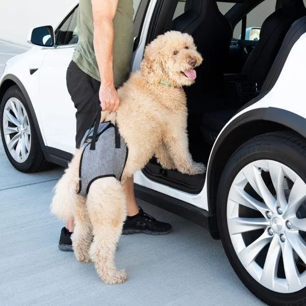 ZippyPaws Adventure Lift Support Harness For Dogs (Harness)