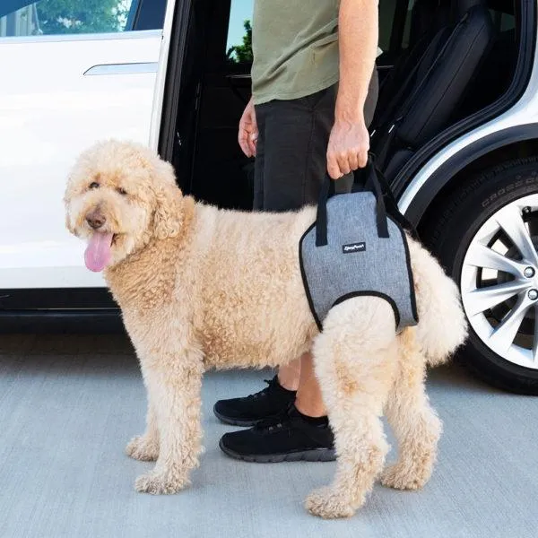 ZippyPaws Adventure Lift Support Harness For Dogs (Harness)