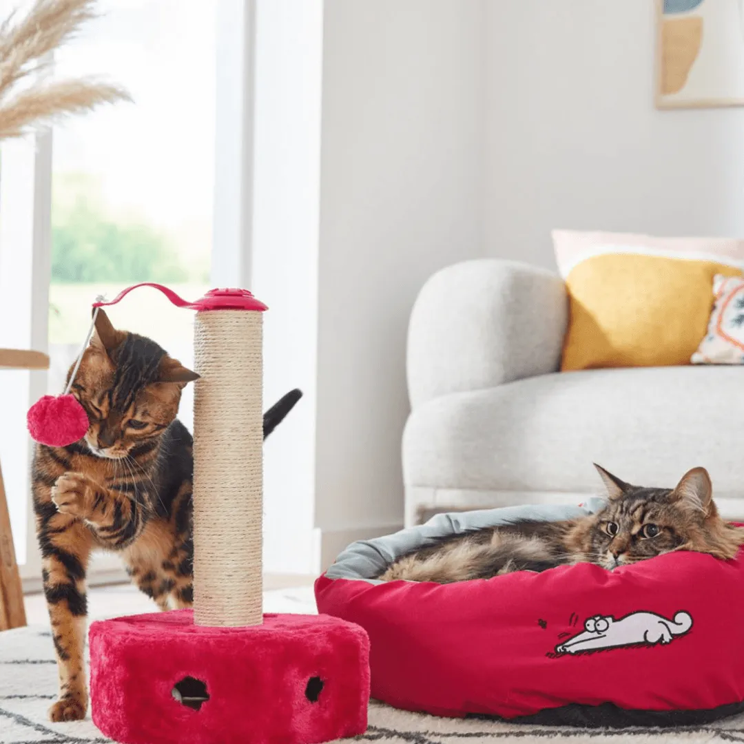 ZOOFARI SCRATCHING POST